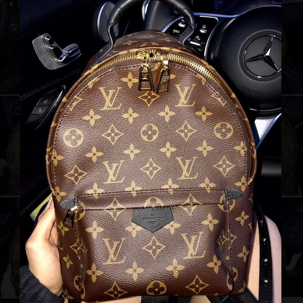 Louis Vuitton Palm Springs PM backpack